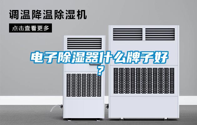 電子除濕器什么牌子好？