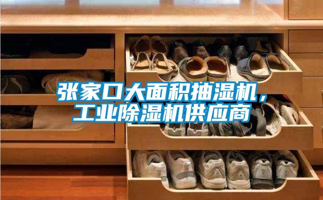 張家口大面積抽濕機(jī)，工業(yè)除濕機(jī)供應(yīng)商