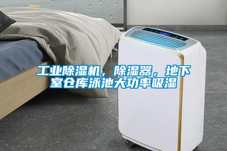 工業(yè)除濕機(jī)，除濕器，地下室倉庫泳池大功率吸濕