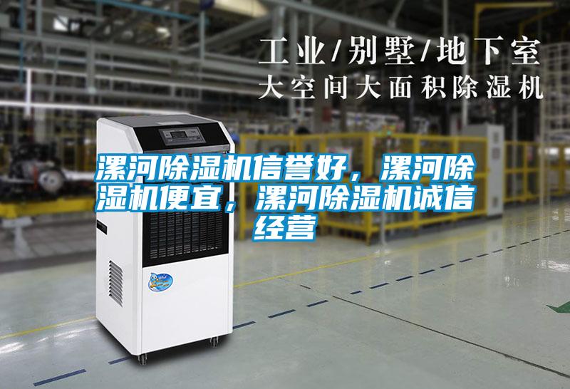 漯河除濕機(jī)信譽(yù)好，漯河除濕機(jī)便宜，漯河除濕機(jī)誠(chéng)信經(jīng)營(yíng)