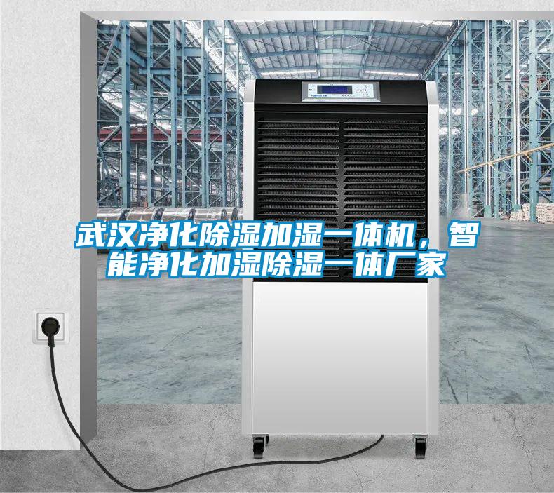 武漢凈化除濕加濕一體機(jī)，智能凈化加濕除濕一體廠家