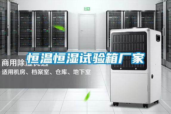 恒溫恒濕試驗(yàn)箱廠(chǎng)家