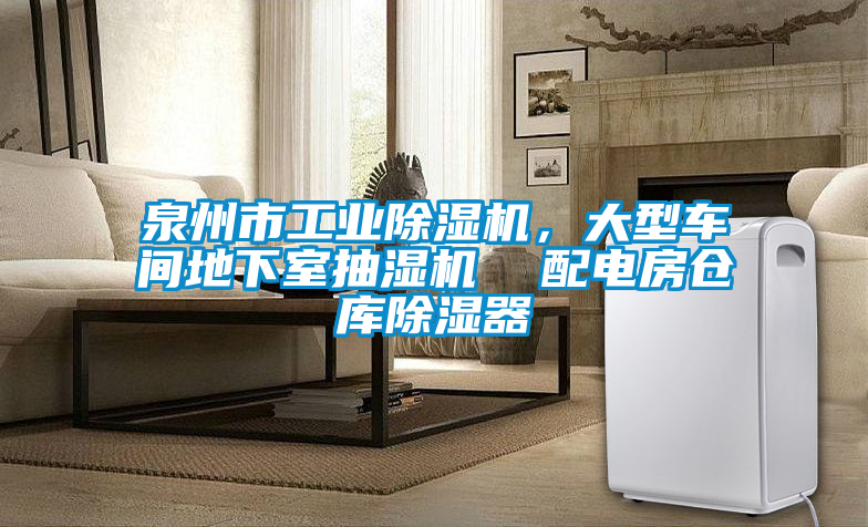 泉州市工業(yè)除濕機(jī)，大型車(chē)間地下室抽濕機(jī)  配電房倉(cāng)庫(kù)除濕器