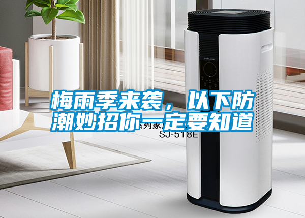 梅雨季來襲，以下防潮妙招你一定要知道