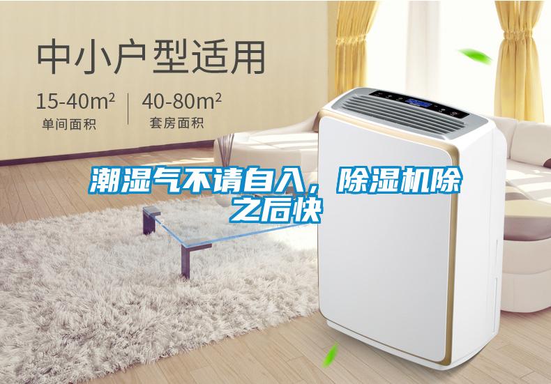 潮濕氣不請自入，除濕機(jī)除之后快