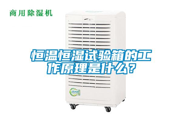 恒溫恒濕試驗(yàn)箱的工作原理是什么？