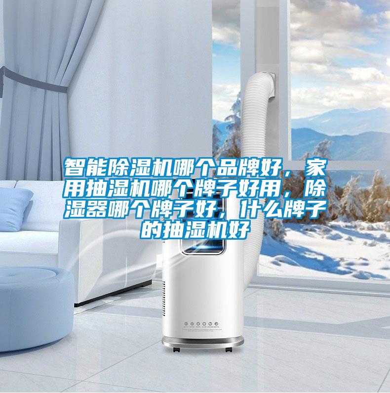 智能除濕機哪個品牌好，家用抽濕機哪個牌子好用，除濕器哪個牌子好，什么牌子的抽濕機好