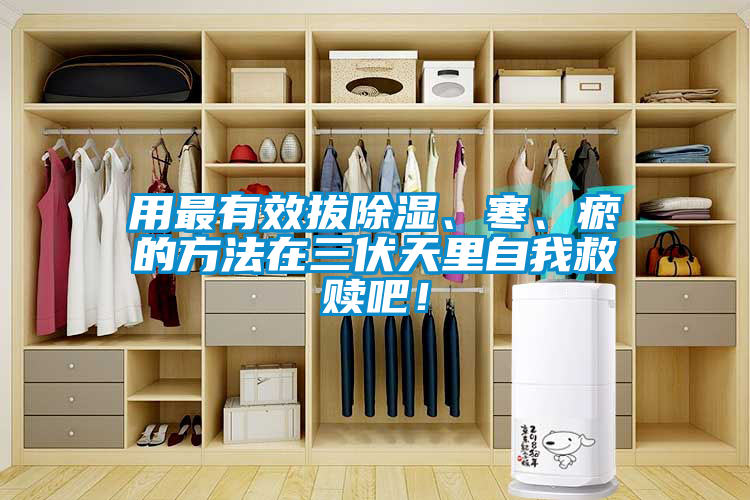 用最有效拔除濕、寒、瘀的方法在三伏天里自我救贖吧！