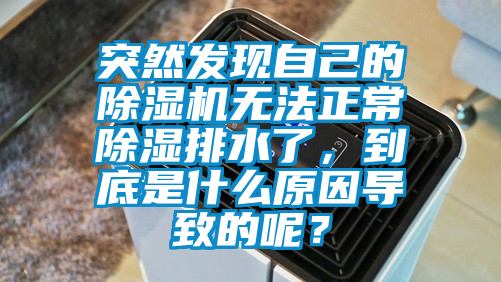 突然發(fā)現(xiàn)自己的除濕機(jī)無法正常除濕排水了，到底是什么原因?qū)е碌哪兀?/></p>
						    <p style=