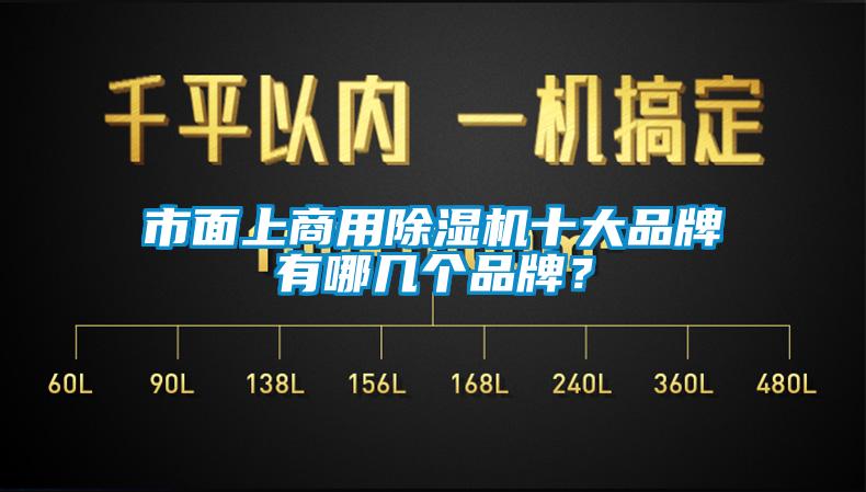 市面上商用除濕機(jī)十大品牌有哪幾個品牌？