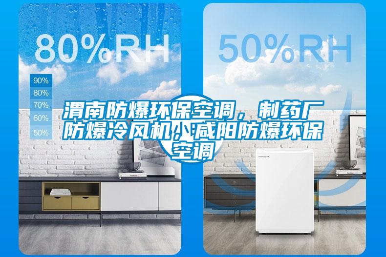 渭南防爆環(huán)?？照{(diào)，制藥廠防爆冷風(fēng)機(jī)，咸陽(yáng)防爆環(huán)?？照{(diào)