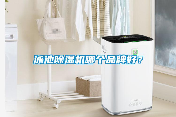泳池除濕機哪個品牌好？
