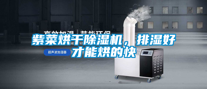 紫菜烘干除濕機，排濕好才能烘的快