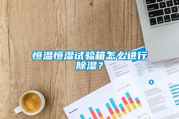 恒溫恒濕試驗(yàn)箱怎么進(jìn)行除濕？