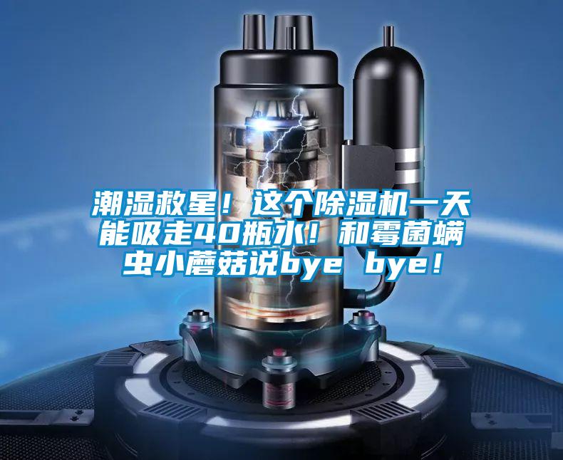 潮濕救星！這個除濕機一天能吸走40瓶水！和霉菌螨蟲小蘑菇說bye bye！