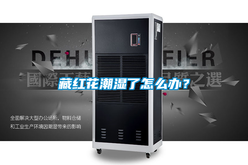 藏紅花潮濕了怎么辦？