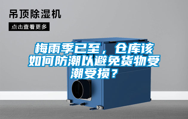 梅雨季已至，倉庫該如何防潮以避免貨物受潮受損？