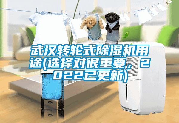 武漢轉(zhuǎn)輪式除濕機(jī)用途(選擇對(duì)很重要，2022已更新)