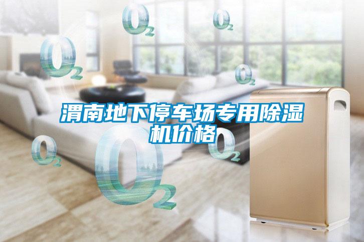渭南地下停車(chē)場(chǎng)專用除濕機(jī)價(jià)格
