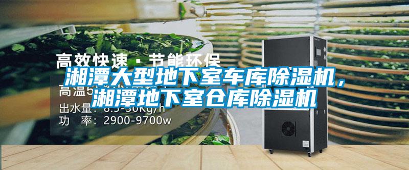 湘潭大型地下室車庫除濕機，湘潭地下室倉庫除濕機