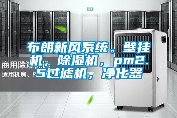 布朗新風系統(tǒng)。壁掛機，除濕機，pm2.5過濾機，凈化器