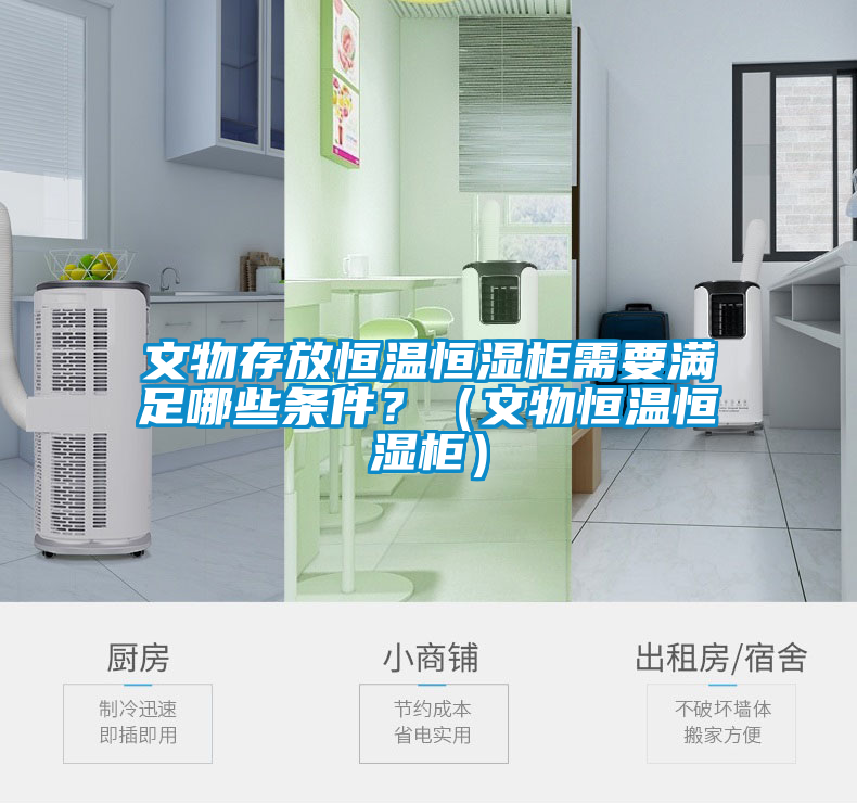 文物存放恒溫恒濕柜需要滿足哪些條件？（文物恒溫恒濕柜）