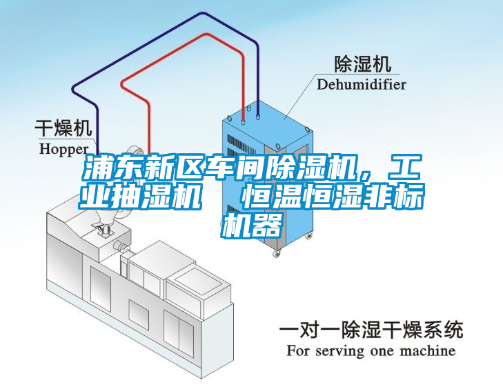 浦東新區(qū)車(chē)間除濕機(jī)，工業(yè)抽濕機(jī)  恒溫恒濕非標(biāo)機(jī)器
