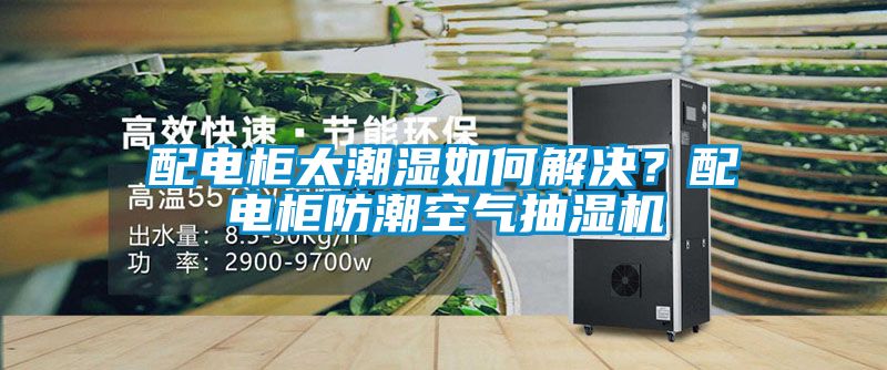 配電柜太潮濕如何解決？配電柜防潮空氣抽濕機(jī)
