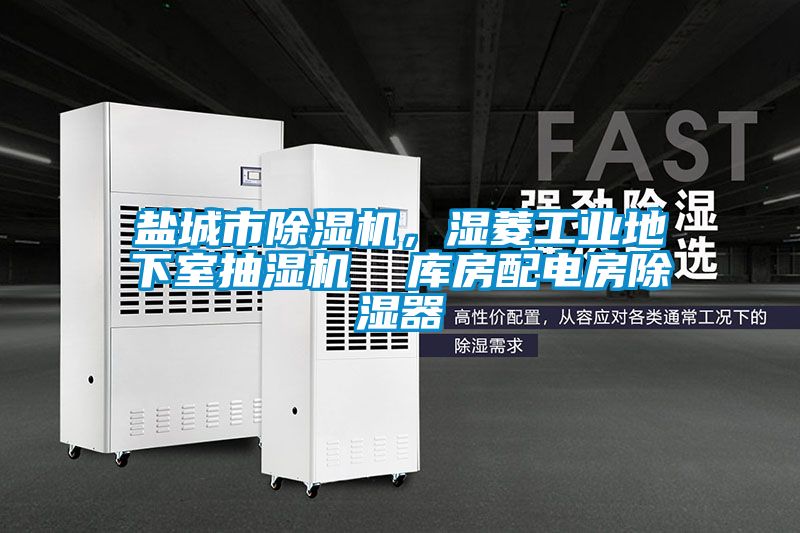 鹽城市除濕機(jī)，濕菱工業(yè)地下室抽濕機(jī)  庫房配電房除濕器