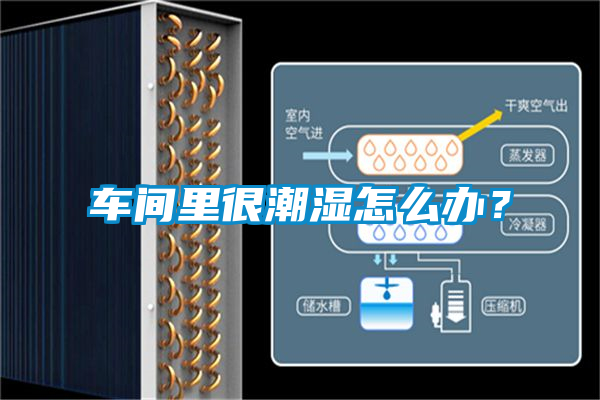 車間里很潮濕怎么辦？
