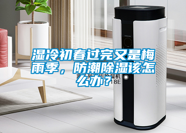 濕冷初春過完又是梅雨季，防潮除濕該怎么辦？