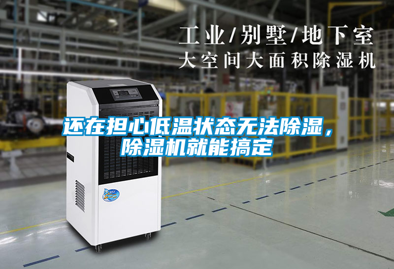 還在擔心低溫狀態(tài)無法除濕，除濕機就能搞定