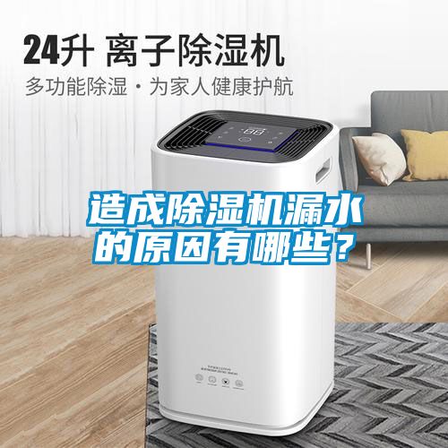造成除濕機漏水的原因有哪些？