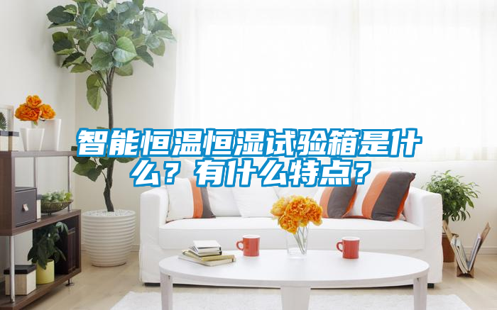 智能恒溫恒濕試驗箱是什么？有什么特點？