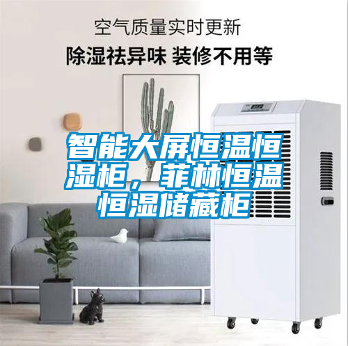 智能大屏恒溫恒濕柜，菲林恒溫恒濕儲(chǔ)藏柜