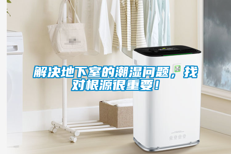 解決地下室的潮濕問題，找對根源很重要！