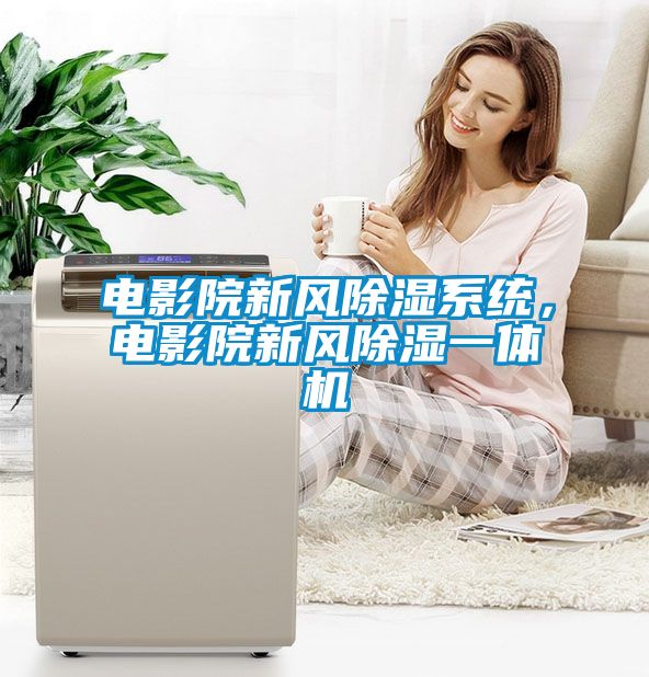 電影院新風(fēng)除濕系統(tǒng)，電影院新風(fēng)除濕一體機