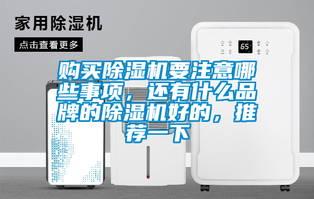 購買除濕機(jī)要注意哪些事項(xiàng)，還有什么品牌的除濕機(jī)好的，推薦一下