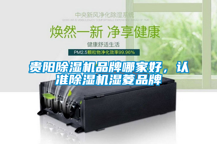 貴陽(yáng)除濕機(jī)品牌哪家好，認(rèn)準(zhǔn)除濕機(jī)濕菱品牌
