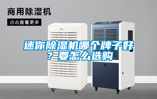 迷你除濕機(jī)哪個牌子好？要怎么選購