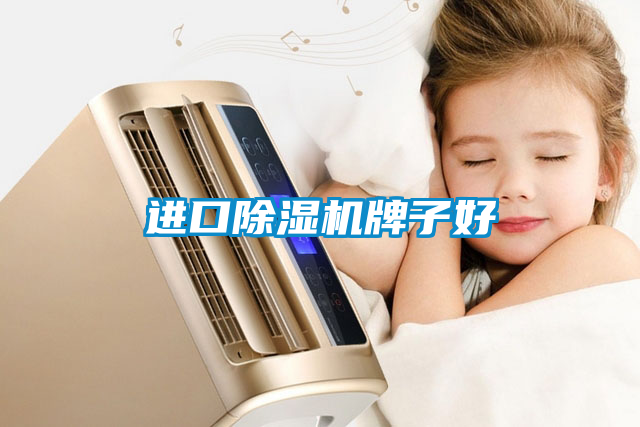 進(jìn)口除濕機牌子好