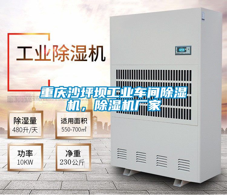 重慶沙坪壩工業(yè)車間除濕機，除濕機廠家