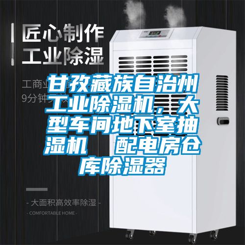 甘孜藏族自治州工業(yè)除濕機(jī)，大型車間地下室抽濕機(jī)  配電房倉(cāng)庫(kù)除濕器
