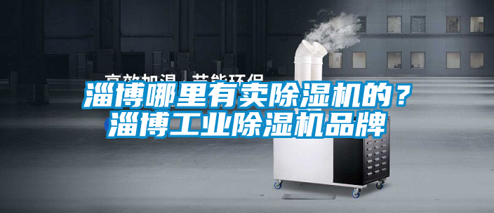 淄博哪里有賣除濕機(jī)的？淄博工業(yè)除濕機(jī)品牌