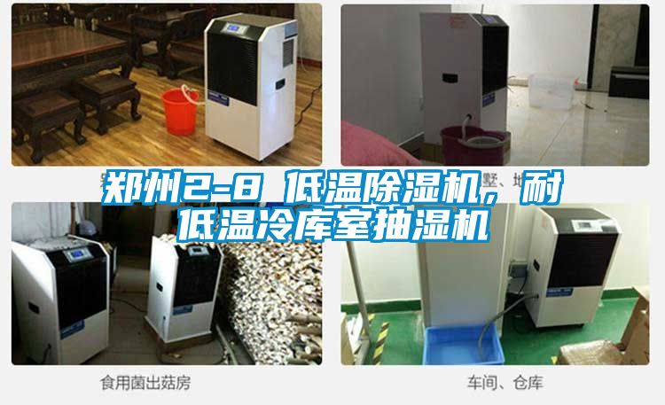 鄭州2-8℃低溫除濕機(jī)，耐低溫冷庫室抽濕機(jī)