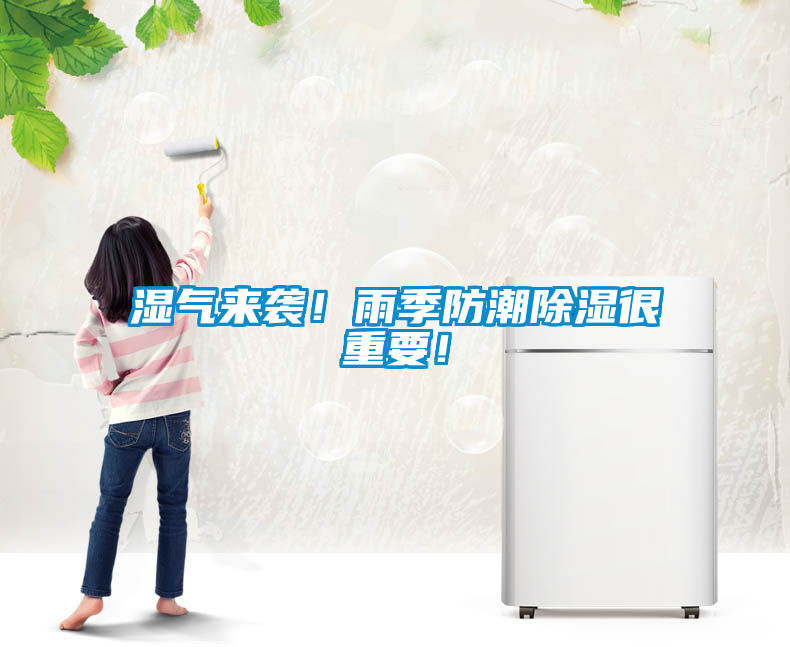 濕氣來(lái)襲！雨季防潮除濕很重要！