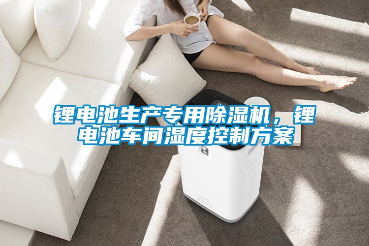 鋰電池生產(chǎn)專(zhuān)用除濕機(jī)，鋰電池車(chē)間濕度控制方案