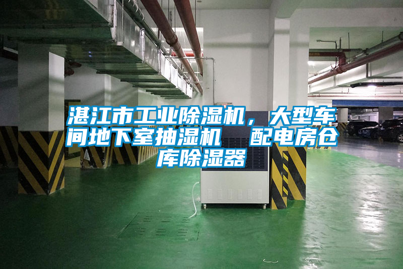 湛江市工業(yè)除濕機(jī)，大型車間地下室抽濕機(jī)  配電房倉庫除濕器