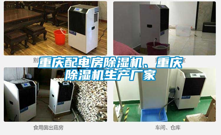 重慶配電房除濕機、重慶除濕機生產(chǎn)廠家