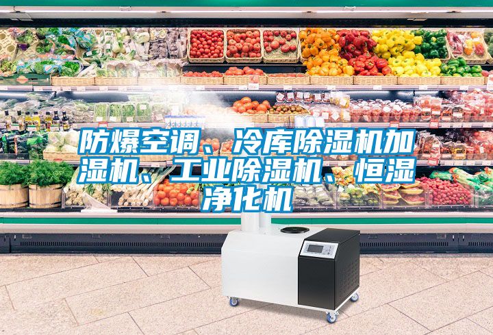防爆空調(diào)、冷庫(kù)除濕機(jī)加濕機(jī)、工業(yè)除濕機(jī)、恒濕凈化機(jī)